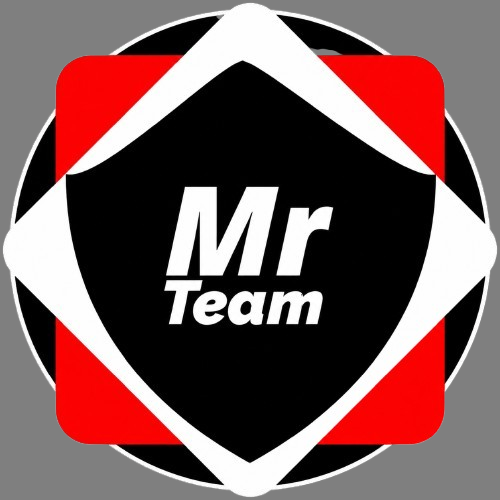 Mr Team